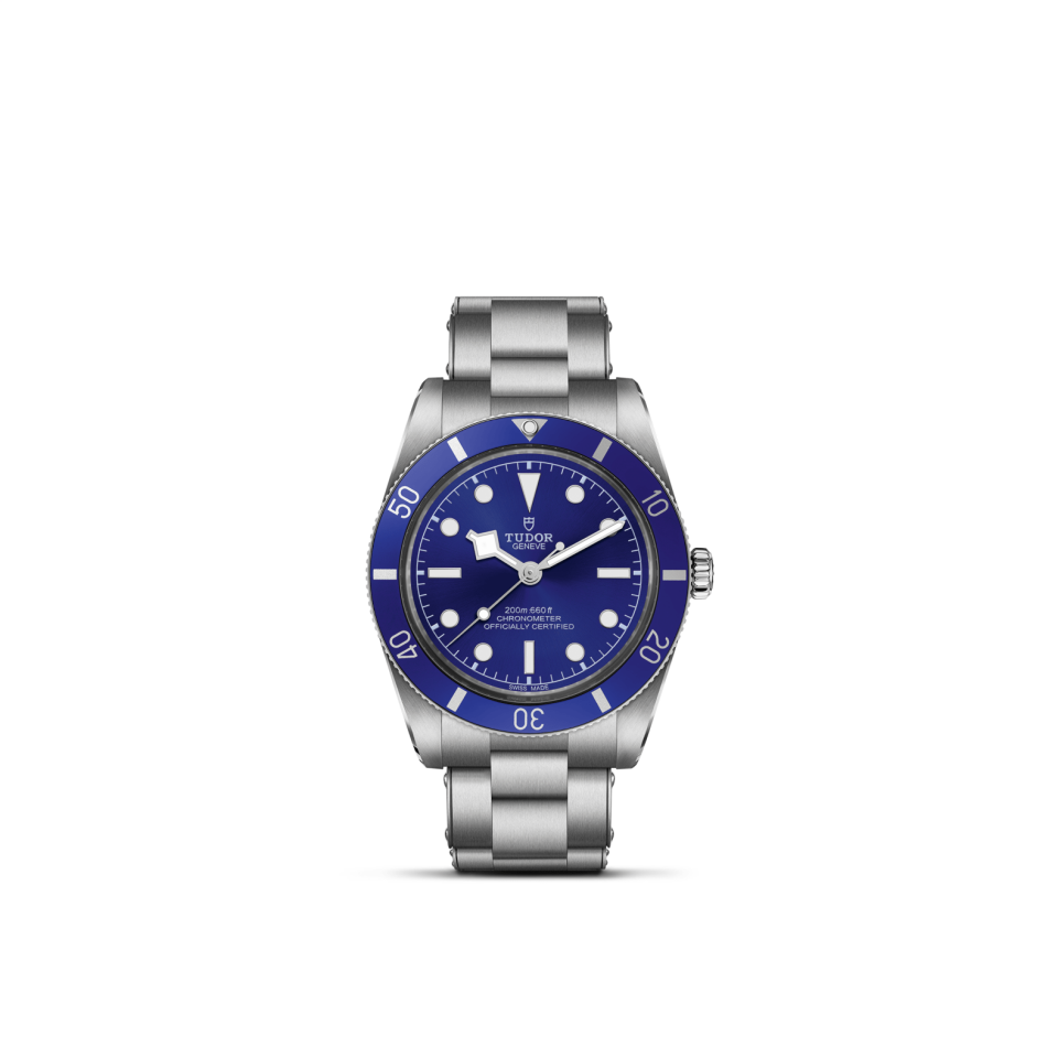 Tudor Black Bay 54